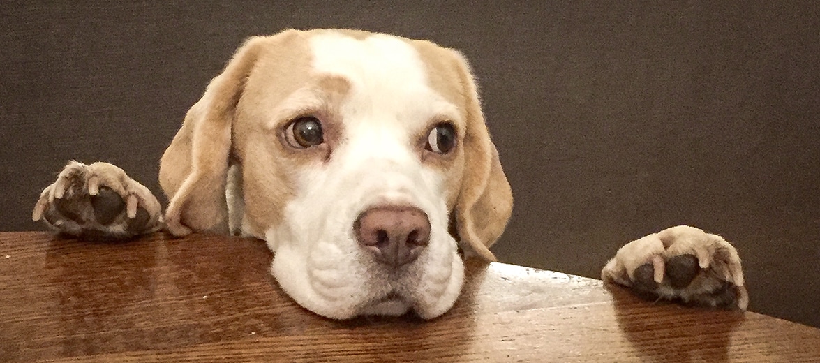 Room For All Types Of Beekeeper