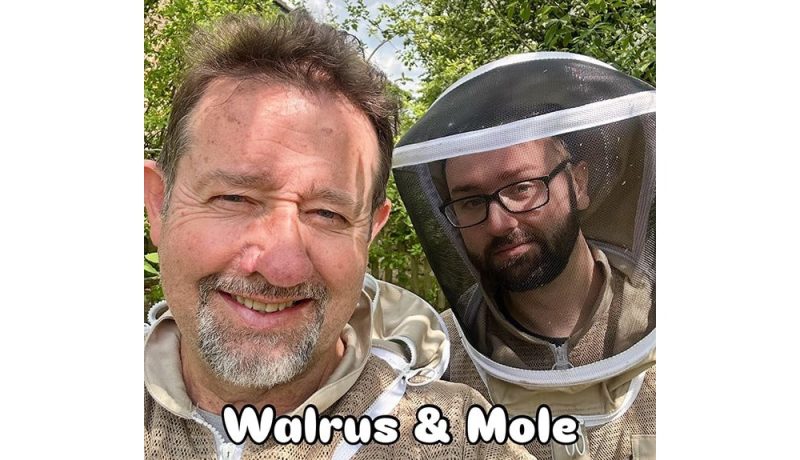 Beekeeping Twilight Zone